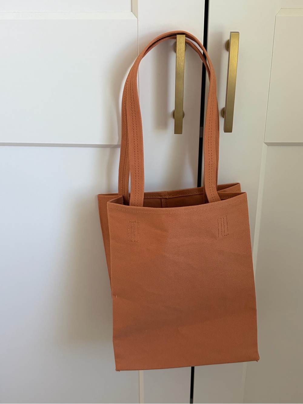 BAGGU Terracotta Canvas Tote
